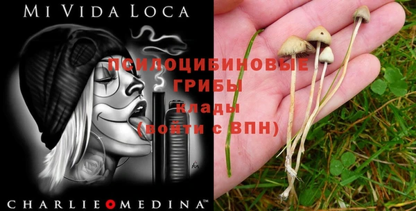 PSILOCYBIN Верхний Тагил